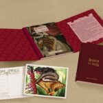 Libro Bendita tu eres