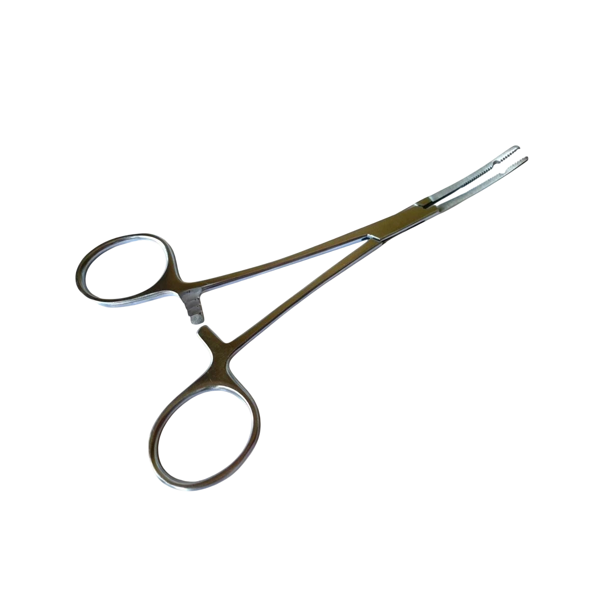 Pinza Dermal Curva 1 W Pinza | Dermal Curva - Imagen 1